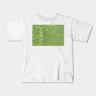 Top down aerial view of green nursery forest bordering with mature forest Kids T-Shirt